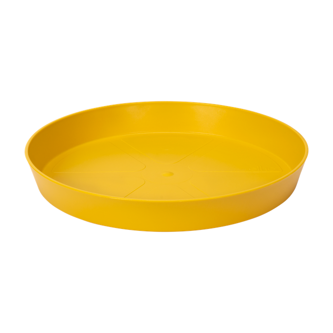 loft urban soucoupe ronde 24cm ocre